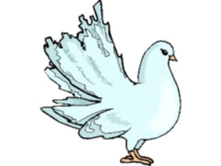 Sticker Custom Preview Image #017167 Animals Birds Pigeon11