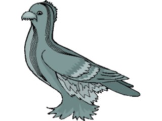 Sticker Custom Preview Image #017170 Animals Birds Pigeon14