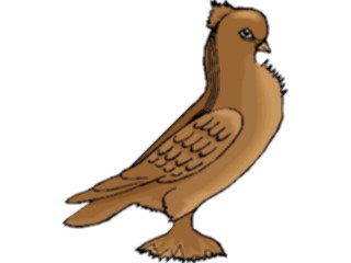 Sticker Custom Preview Image #017171 Animals Birds Pigeon15