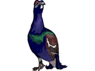 Sticker Custom Preview Image #017172 Animals Birds Pigeon16