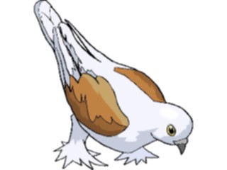 Sticker Custom Preview Image #017173 Animals Birds Pigeon17