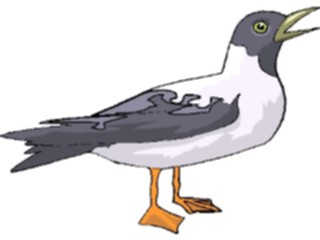 Sticker Custom Preview Image #017179 Animals Birds Plover3