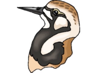 Sticker Custom Preview Image #017181 Animals Birds Plover5