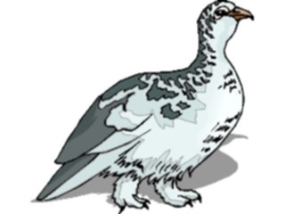 Sticker Custom Preview Image #017182 Animals Birds Ptarmigan