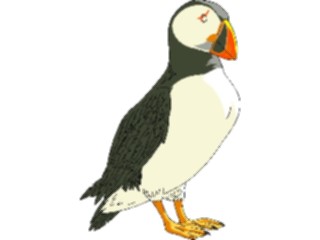 Sticker Custom Preview Image #017183 Animals Birds Puffin01
