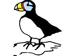 Sticker Custom Preview Image #017185 Animals Birds Puffin03