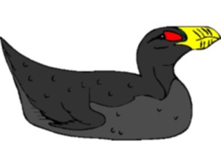 Sticker Custom Preview Image #017188 Animals Birds Puffin06