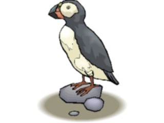 Sticker Custom Preview Image #017190 Animals Birds Puffin08