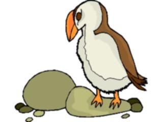 Sticker Custom Preview Image #017192 Animals Birds Puffin10