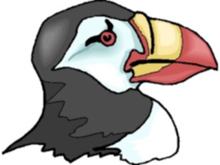 Sticker Custom Preview Image #017194 Animals Birds Puffin12
