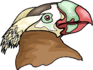 Sticker Custom Preview Image #017195 Animals Birds Puffin13