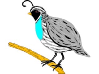 Sticker Custom Preview Image #017198 Animals Birds Quail1
