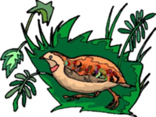Sticker Custom Preview Image #017199 Animals Birds Quail2