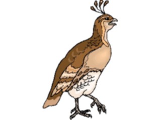 Sticker Custom Preview Image #017202 Animals Birds Quail5