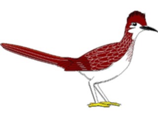 Sticker Custom Preview Image #017204 Animals Birds Roadrunner1