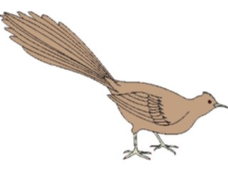Sticker Custom Preview Image #017205 Animals Birds Roadrunner2