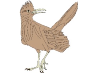 Sticker Custom Preview Image #017206 Animals Birds Roadrunner3