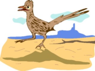 Sticker Custom Preview Image #017207 Animals Birds Roadrunner4