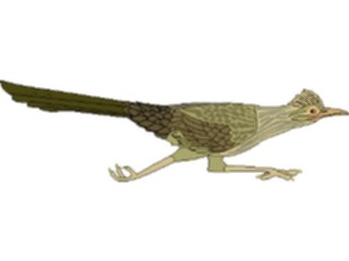 Sticker Custom Preview Image #017208 Animals Birds Roadrunner5