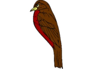 Sticker Custom Preview Image #017210 Animals Birds Robin2