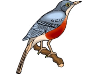 Sticker Custom Preview Image #017211 Animals Birds Robin3