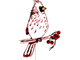Sticker Custom Preview Image #017212 Animals Birds Robin4