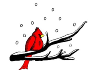 Sticker Custom Preview Image #017213 Animals Birds Robinin Snow