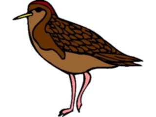 Sticker Custom Preview Image #017215 Animals Birds Sandpiper1