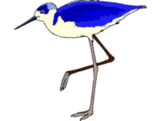 Sticker Custom Preview Image #017219 Animals Birds Sandpiper5