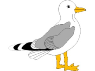 Sticker Custom Preview Image #017221 Animals Birds Seagull01