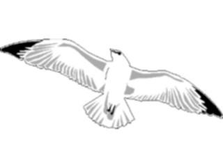 Sticker Custom Preview Image #017222 Animals Birds Seagull02