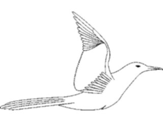 Sticker Custom Preview Image #017224 Animals Birds Seagull04