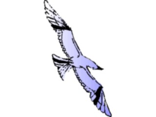 Sticker Custom Preview Image #017225 Animals Birds Seagull05