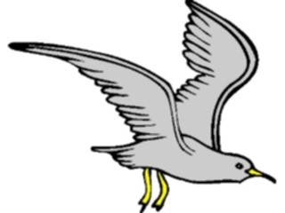Sticker Custom Preview Image #017230 Animals Birds Seagull10