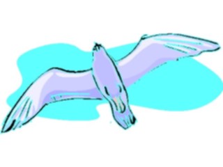 Sticker Custom Preview Image #017231 Animals Birds Seagull11