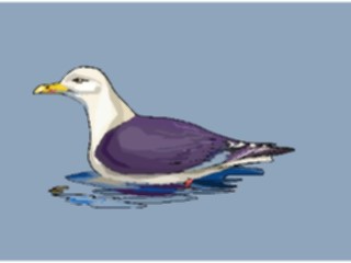 Sticker Custom Preview Image #017233 Animals Birds Seagull13