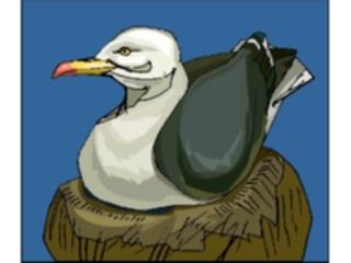 Sticker Custom Preview Image #017234 Animals Birds Seagull14