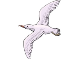 Sticker Custom Preview Image #017235 Animals Birds Seagull15