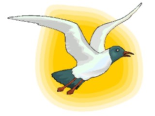 Sticker Custom Preview Image #017236 Animals Birds Seagull16