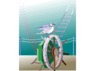 Sticker Custom Preview Image #017237 Animals Birds Seagull17