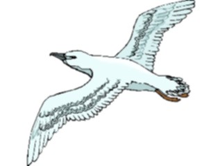 Sticker Custom Preview Image #017239 Animals Birds Seagull19