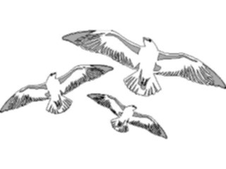 Sticker Custom Preview Image #017241 Animals Birds Seagulls1