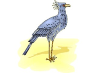 Sticker Custom Preview Image #017244 Animals Birds Secretary Bird1
