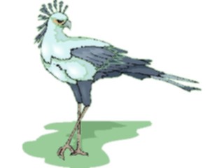 Sticker Custom Preview Image #017245 Animals Birds Secretary Bird2