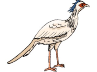 Sticker Custom Preview Image #017246 Animals Birds Secretary Bird3