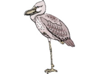 Sticker Custom Preview Image #017247 Animals Birds Shoebill1