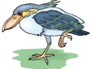 Sticker Custom Preview Image #017248 Animals Birds Shoebill2