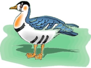 Sticker Custom Preview Image #017249 Animals Birds Slovanian Grebe