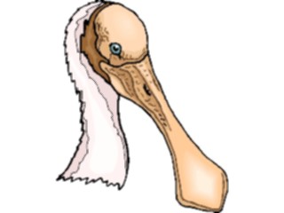 Sticker Custom Preview Image #017261 Animals Birds Spoonbill2