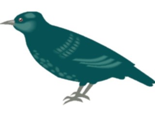 Sticker Custom Preview Image #017262 Animals Birds Starling